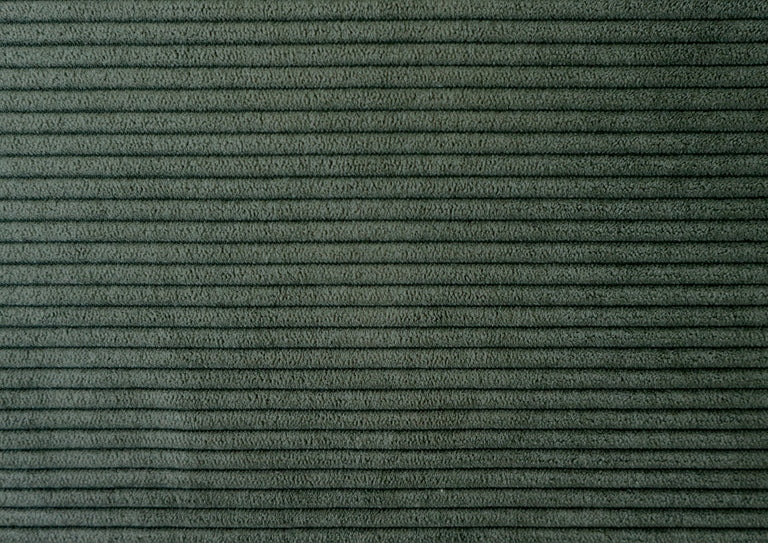 color sample #23 green corduroy